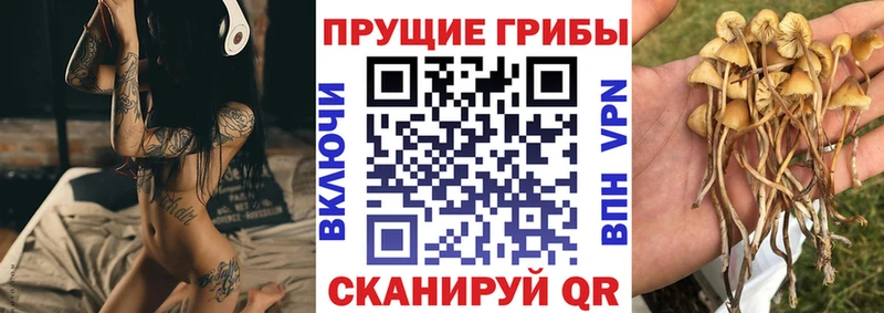 Псилоцибиновые грибы Magic Shrooms  купить наркотик  Люберцы 